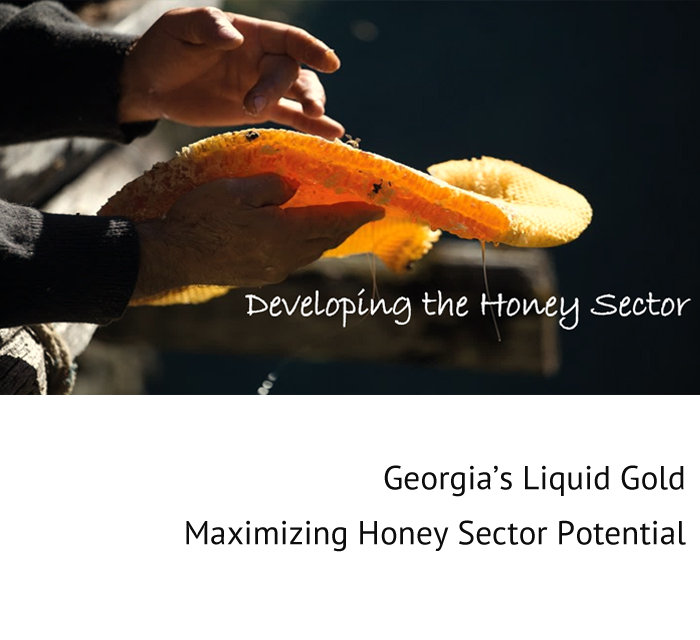 Georgia’s Liquid Gold Maximizing Honey Sector Potential