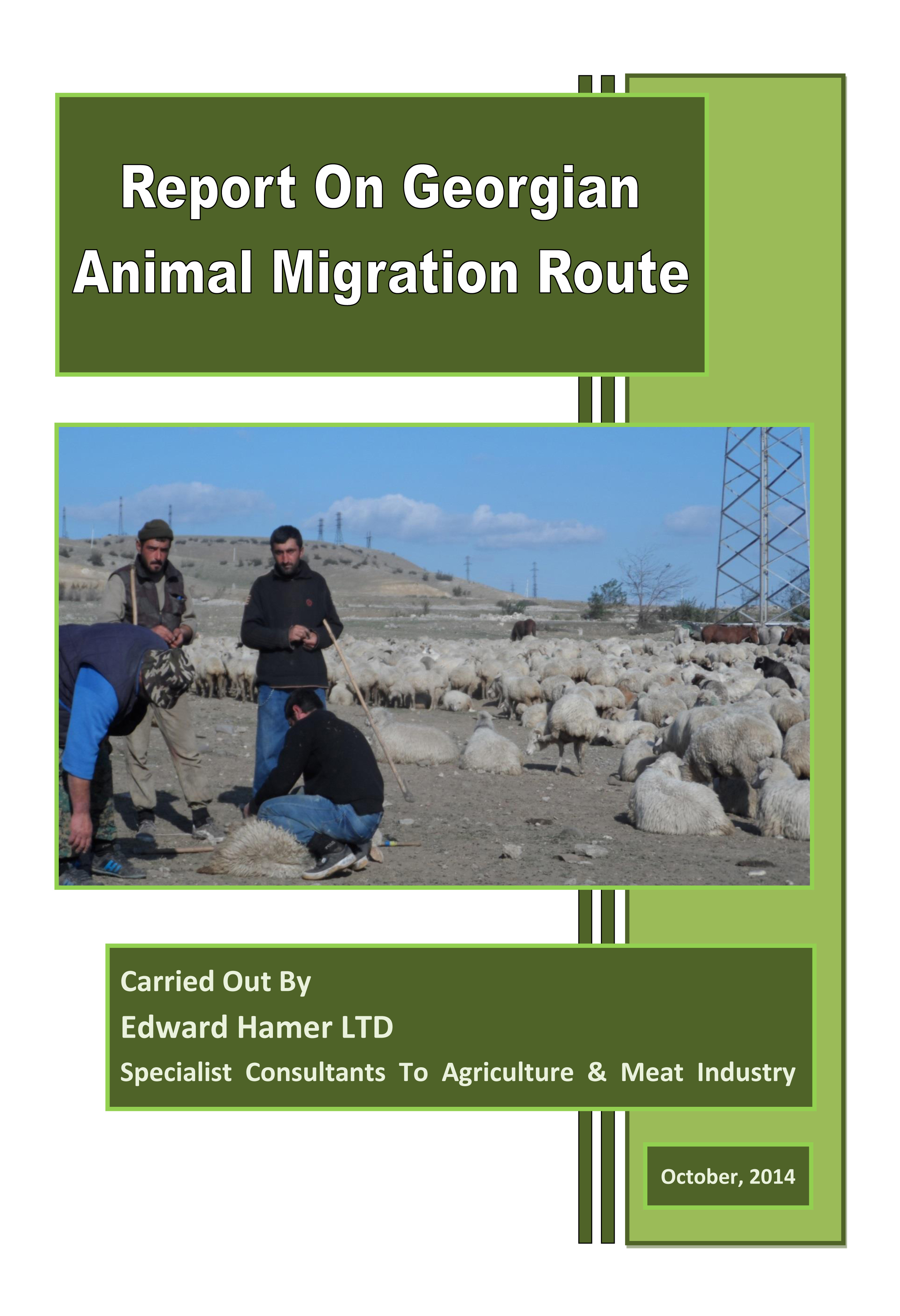 Report On Georgian Animal Migration Route